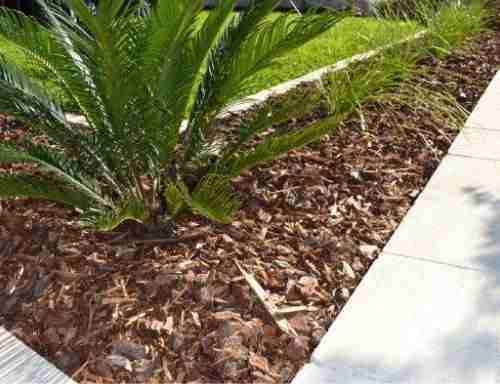 plant and softfall - Dubbo landscaping in Dubbo, NSW